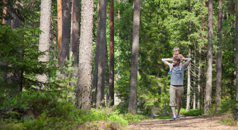 Father shoulder carrying toddler son through forest, Somerniemi, Finland